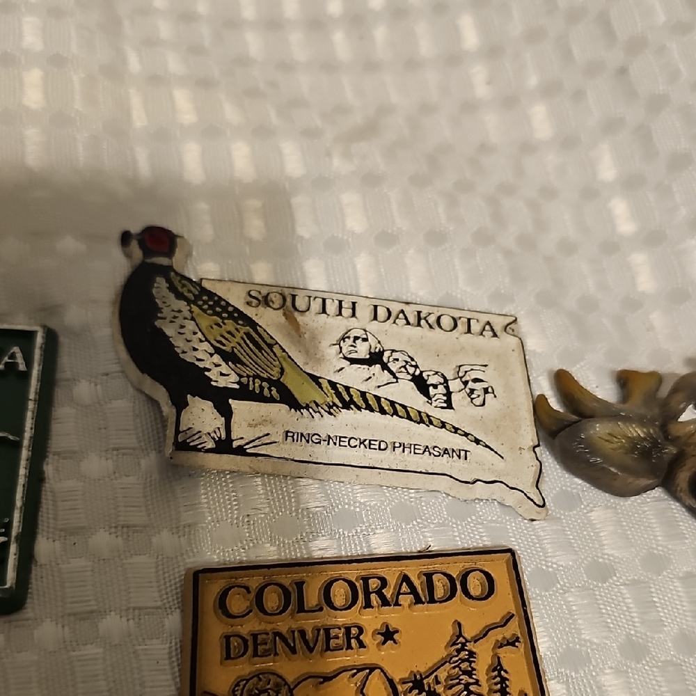 Colorful State Souvenir Magnets Set - Picture 3 of 7